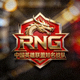 RNG战队标志，中国英雄联盟知名战队